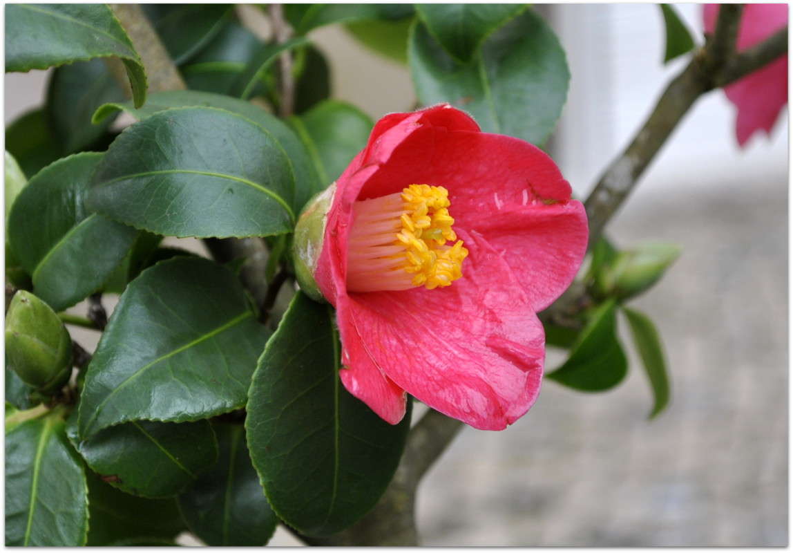 ... ����� ����� ���������(�������) �� PhotoGeek.ru #����� ��������������