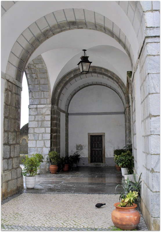 � ��������� ��������... ����� ����� ���������(�������) �� PhotoGeek.ru #�����������