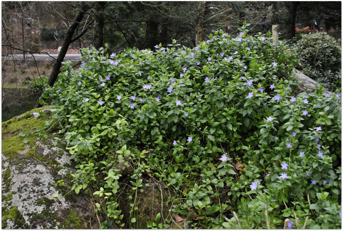 �������� ����� ����� ���������(�������) �� PhotoGeek.ru #����� ��������������