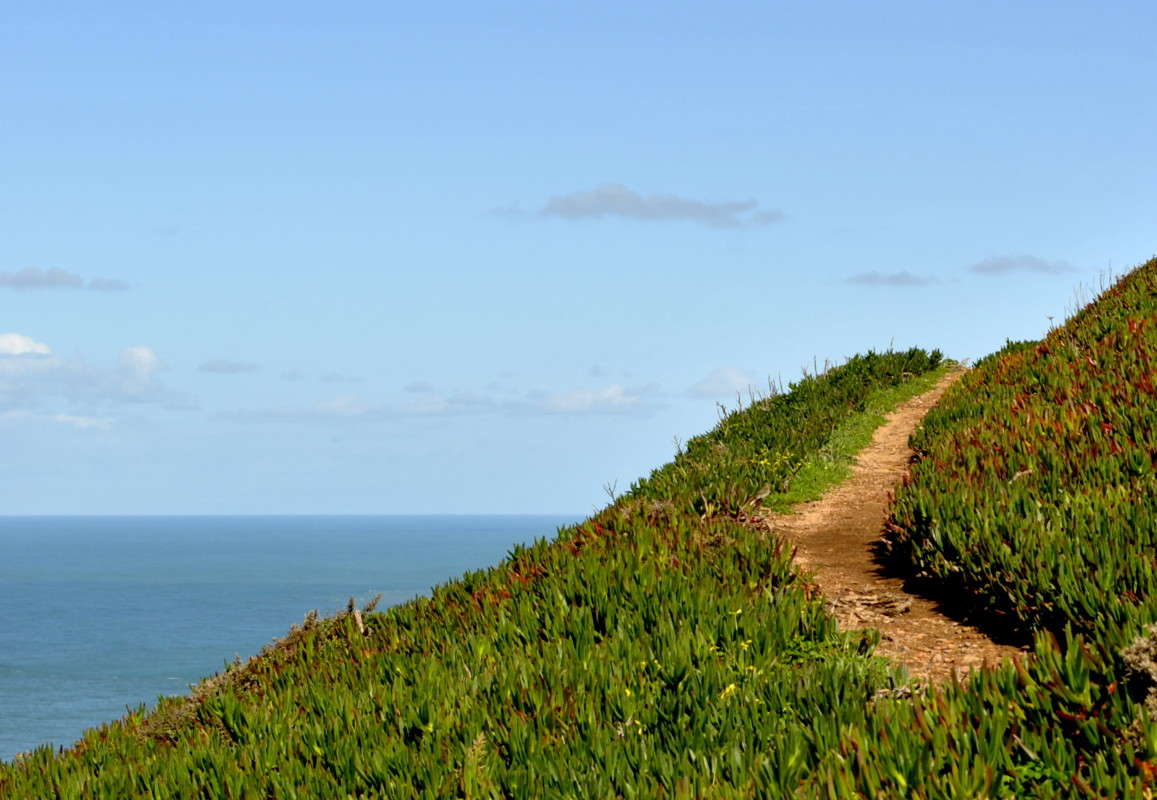 ������� � ����... ����� ����� ���������(�������) �� PhotoGeek.ru #������ ��� �������