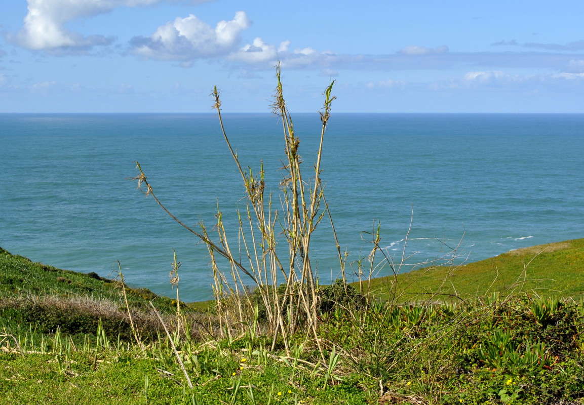 ... ����� ����� ���������(�������) �� PhotoGeek.ru #������ ��� �������