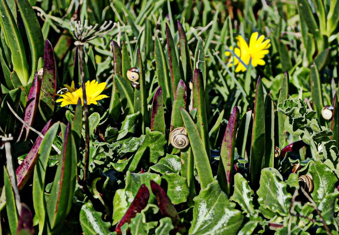 ����� �����... ����� ����� ���������(�������) �� PhotoGeek.ru #������ ��� ������� #����� ��������������