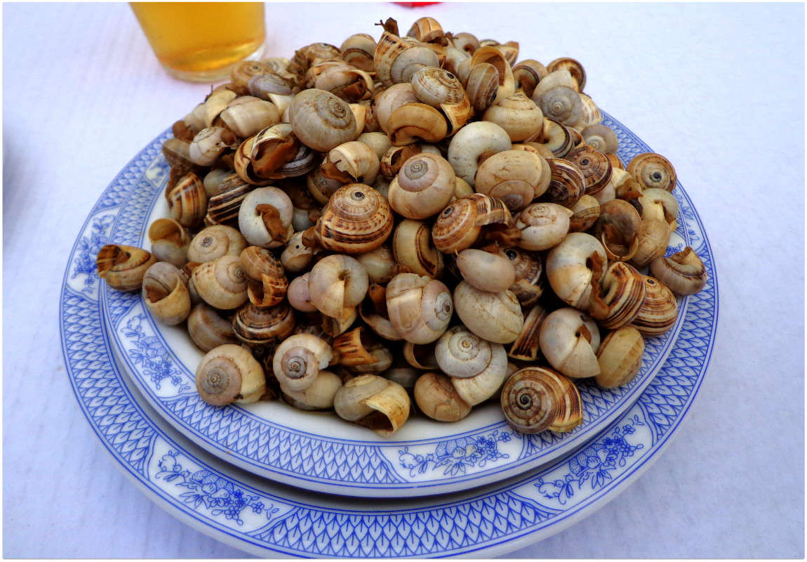 ������ ������)) ����� ����� ���������(�������) �� PhotoGeek.ru #������