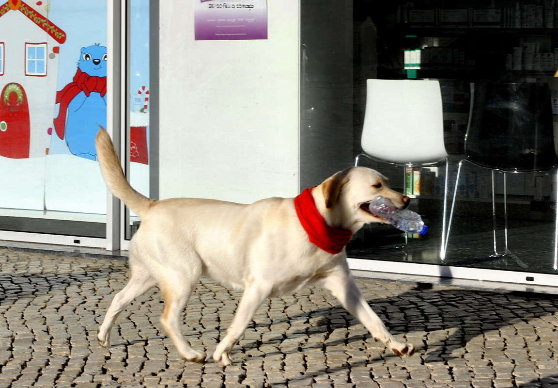 ����� ��������) ����� ����� ���������(�������) �� PhotoGeek.ru #�������� ���