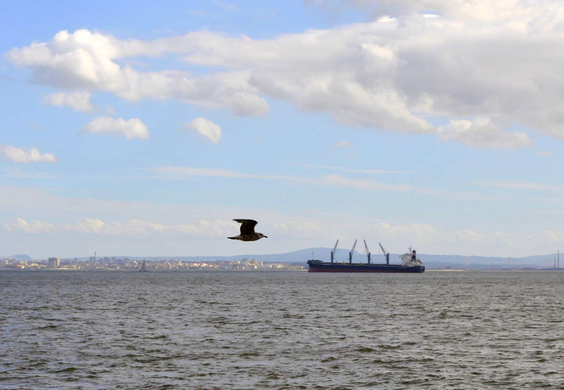 �� ���� ����� ����� ���������(�������) �� PhotoGeek.ru #������ ��� �������