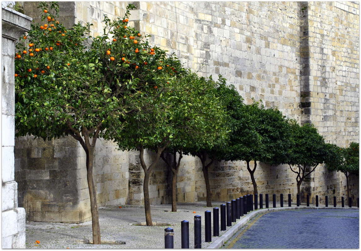 �������.. ����� ����� ���������(�������) �� PhotoGeek.ru #������