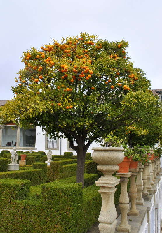 � ���� ����� ����� ���������(�������) �� PhotoGeek.ru #�������� #������