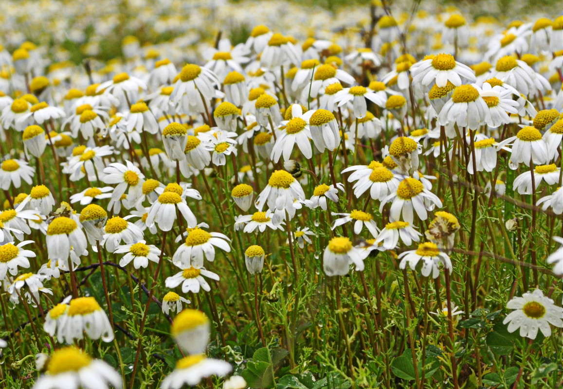 ���������... ����� ����� ���������(�������) �� PhotoGeek.ru #����� ��������������