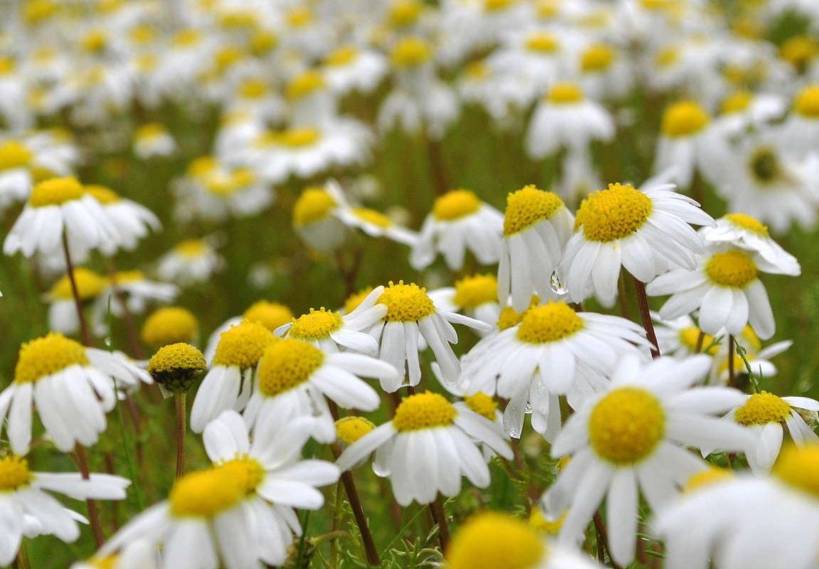 ����� �����... ����� ����� ���������(�������) �� PhotoGeek.ru #����� ��������������