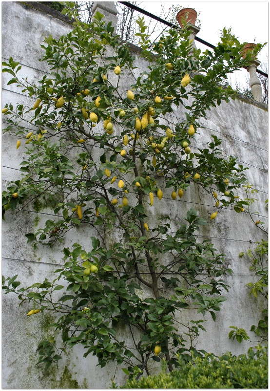 ������� � ���)) ����� ����� ���������(�������) �� PhotoGeek.ru #����� ��������������