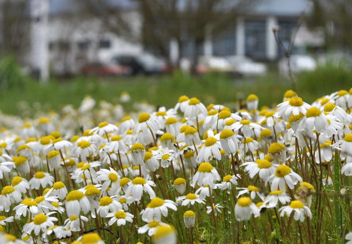 ���������. ����� ����� ���������(�������) �� PhotoGeek.ru #����� ��������������