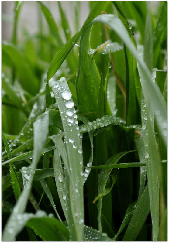 ����� �����... ����� ����� ���������(�������) �� PhotoGeek.ru #����� ��������������