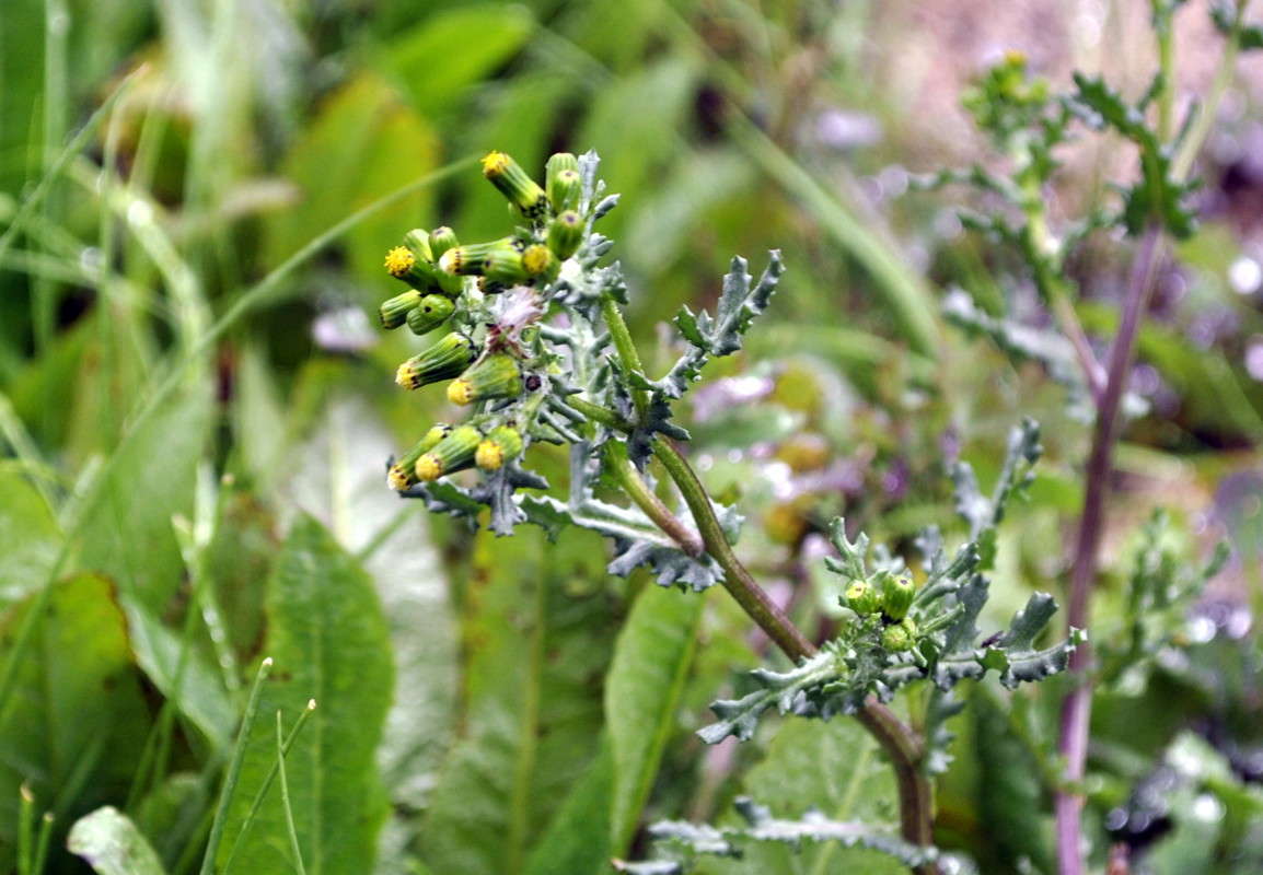 ... ����� ����� ���������(�������) �� PhotoGeek.ru #����� ��������������