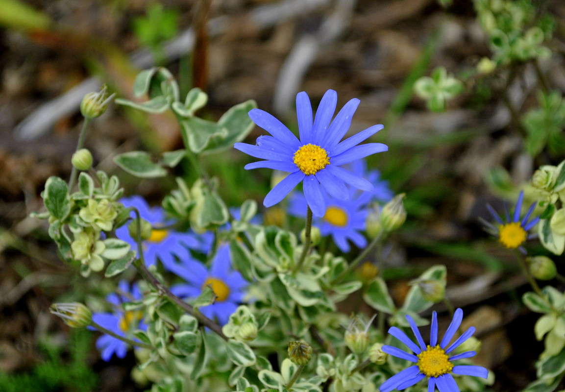 ... ����� ����� ���������(�������) �� PhotoGeek.ru #����� ��������������