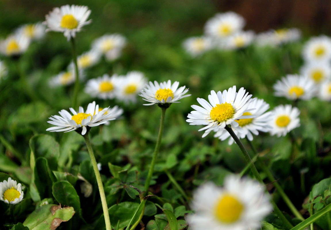 ... ����� ����� ���������(�������) �� PhotoGeek.ru #����� ��������������