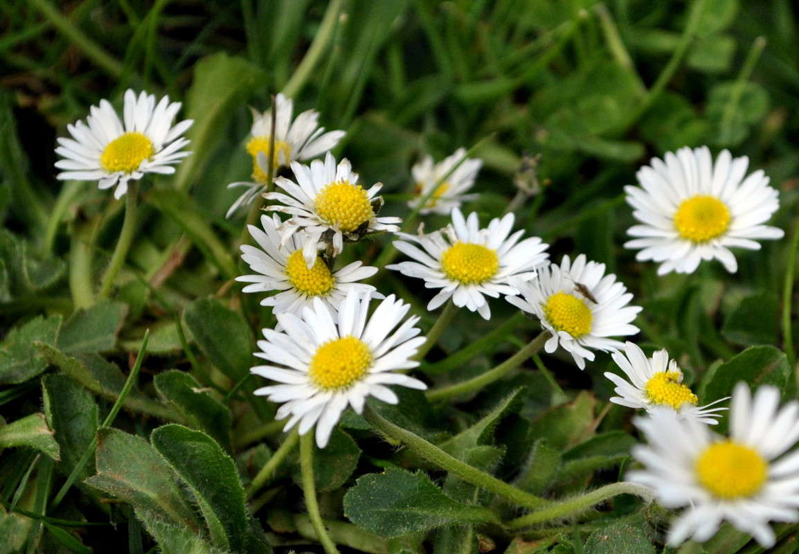 ... ����� ����� ���������(�������) �� PhotoGeek.ru #����� ��������������