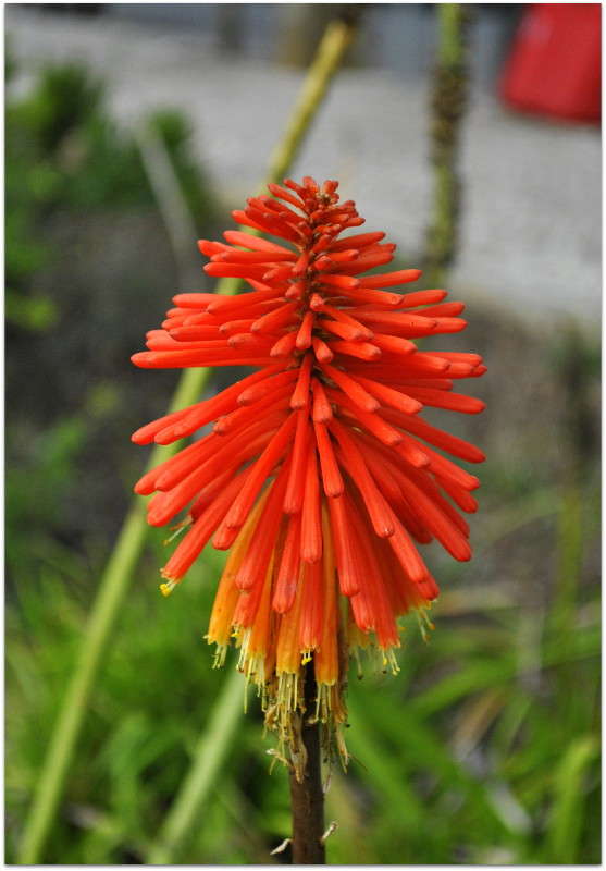 ... ����� ����� ���������(�������) �� PhotoGeek.ru #����� ��������������