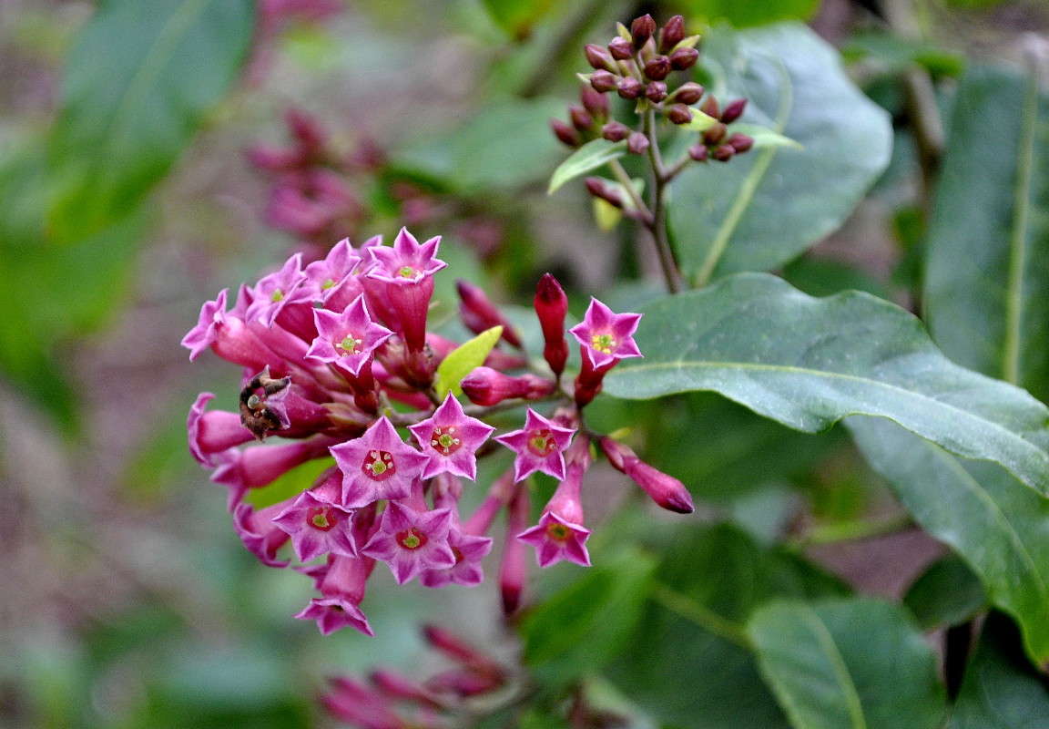 ... ����� ����� ���������(�������) �� PhotoGeek.ru #����� ��������������