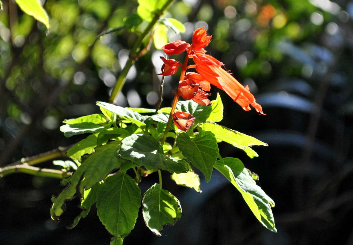 �������� ���������� ����� ����� ���������(�������) �� PhotoGeek.ru #����� ��������������