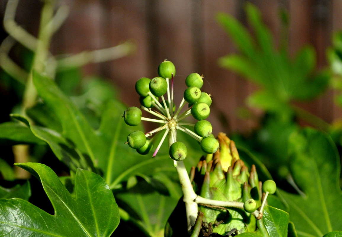 ... ����� ����� ���������(�������) �� PhotoGeek.ru #����� ��������������