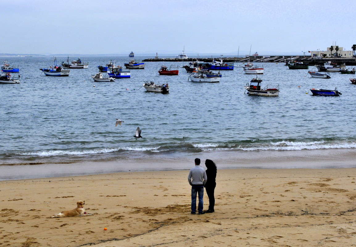 �� ������ ����� ����� ���������(�������) �� PhotoGeek.ru #�������� ���������� #�������� #������