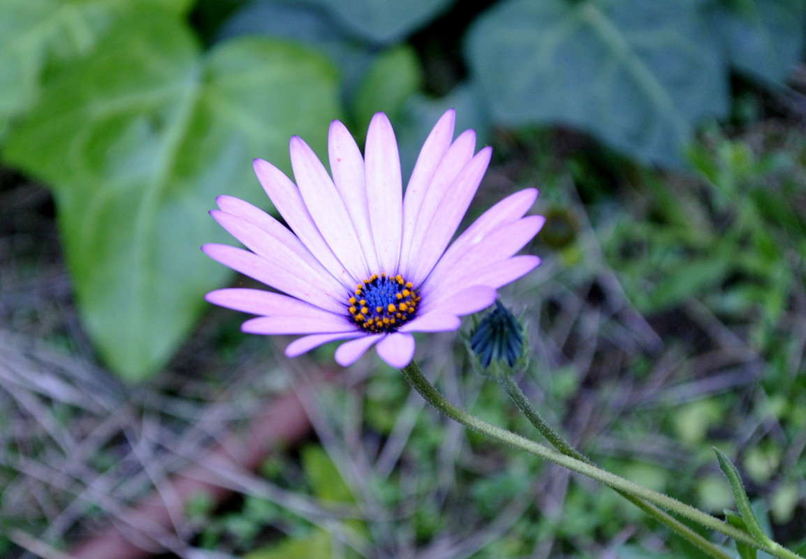 ... ����� ����� ���������(�������) �� PhotoGeek.ru #����� ��������������