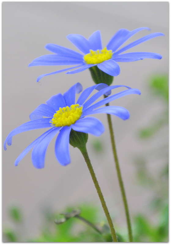 ... ����� ����� ���������(�������) �� PhotoGeek.ru #������ ��� ������� #����� ��������������