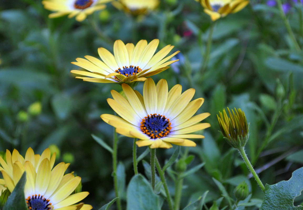 ... ����� ����� ���������(�������) �� PhotoGeek.ru #����� ��������������