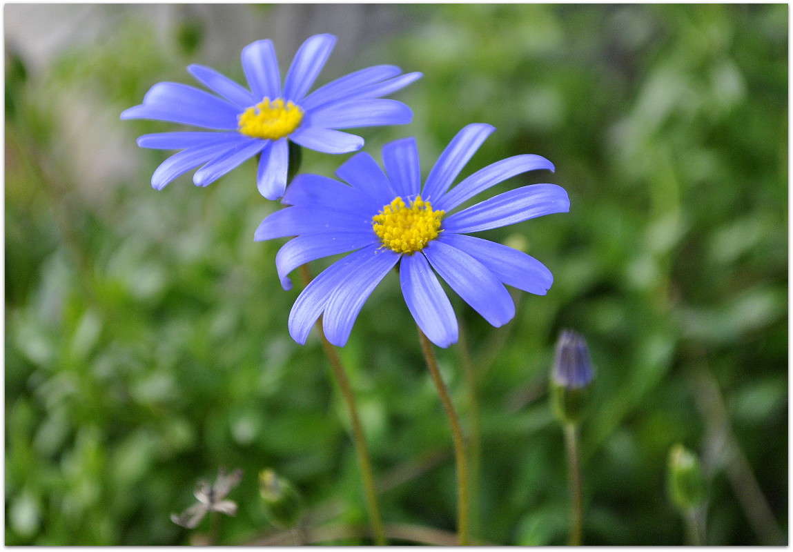 ... ����� ����� ���������(�������) �� PhotoGeek.ru #����� ��������������