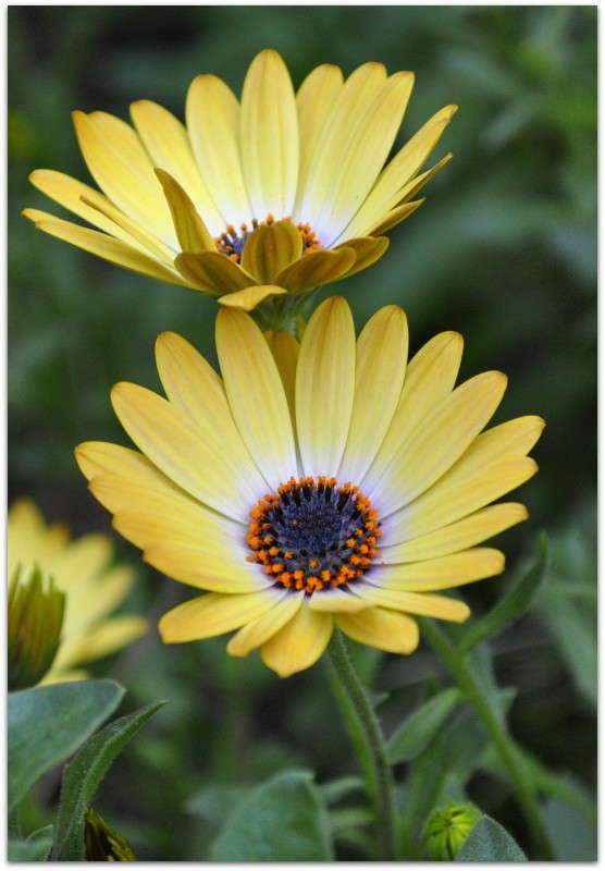 ... ����� ����� ���������(�������) �� PhotoGeek.ru #����� ��������������