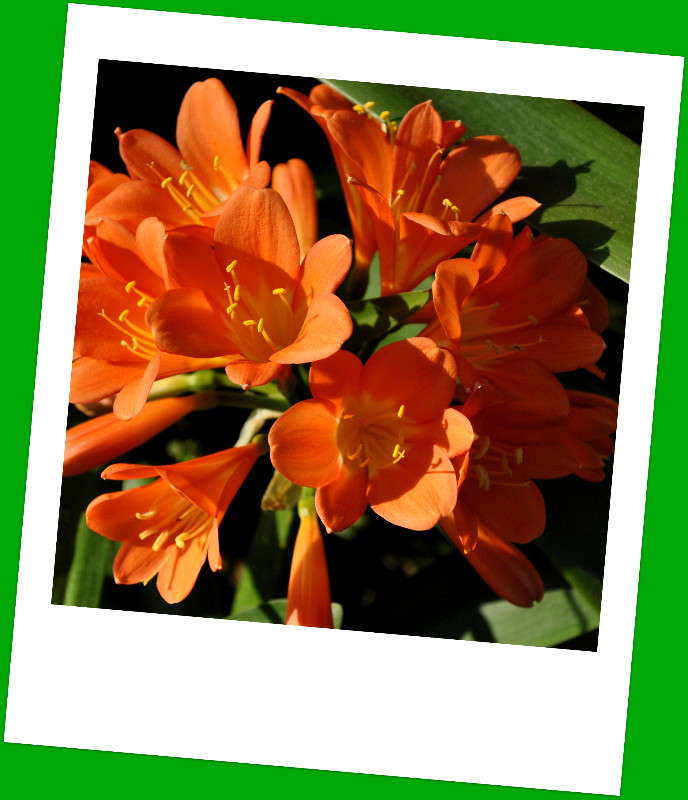 ... ����� ����� ���������(�������) �� PhotoGeek.ru #����� ��������������