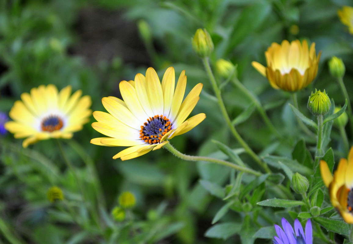 ... ����� ����� ���������(�������) �� PhotoGeek.ru #����� ��������������