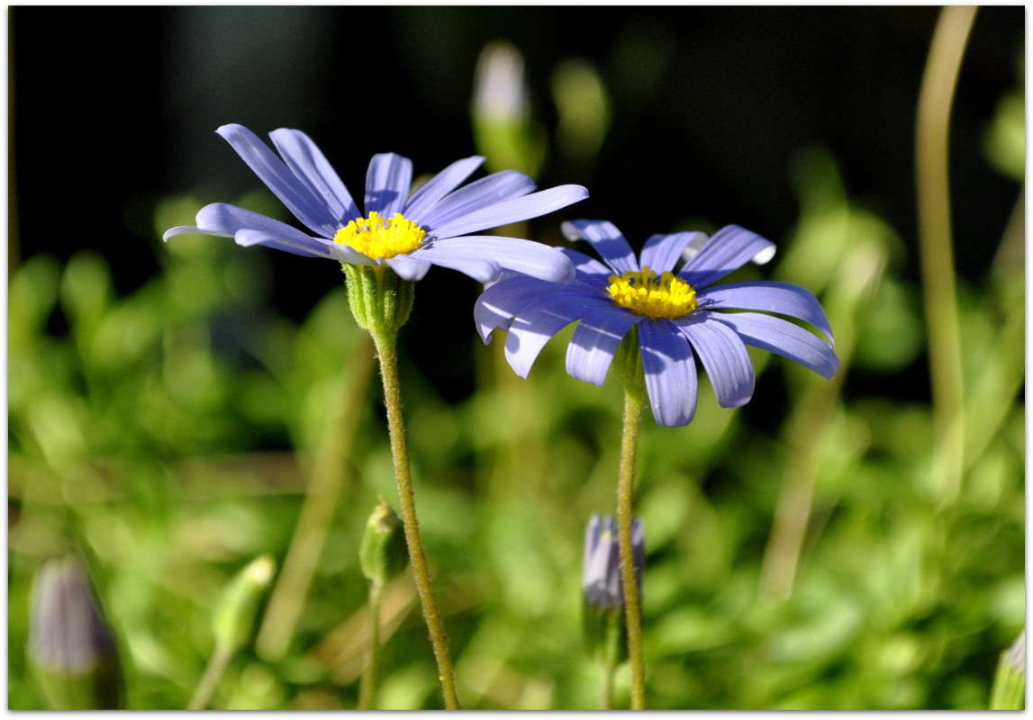 ... ����� ����� ���������(�������) �� PhotoGeek.ru #����� ��������������