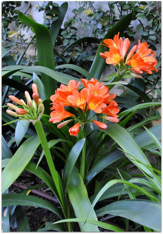 ... ����� ����� ���������(�������) �� PhotoGeek.ru #����� ��������������