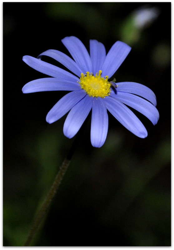 ... ����� ����� ���������(�������) �� PhotoGeek.ru #����� ��������������