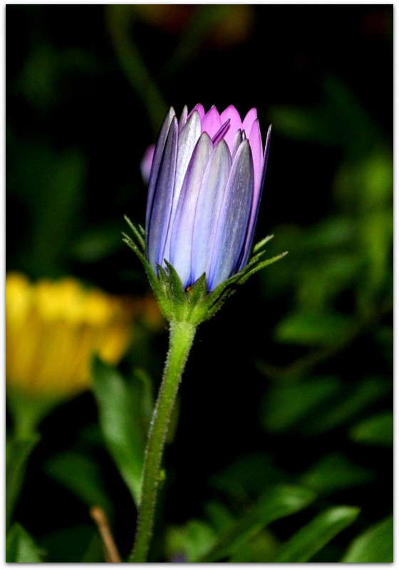 ... ����� ����� ���������(�������) �� PhotoGeek.ru #����� ��������������