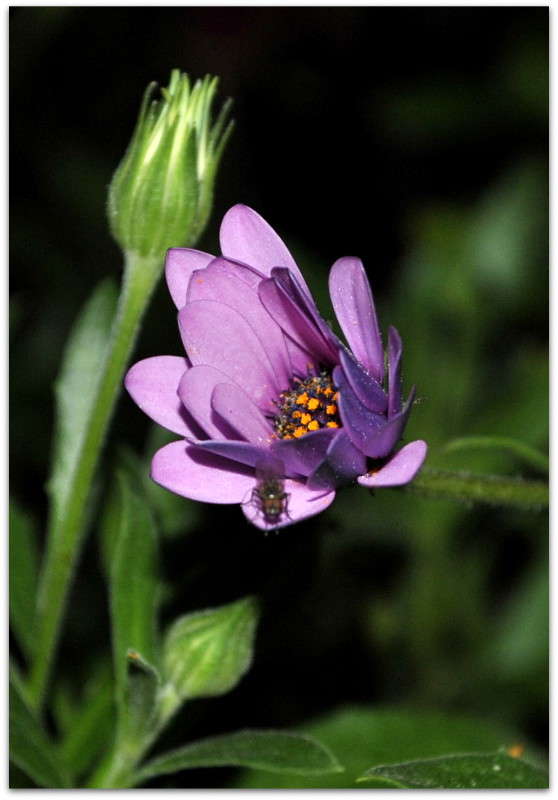 ... ����� ����� ���������(�������) �� PhotoGeek.ru #����� ��������������