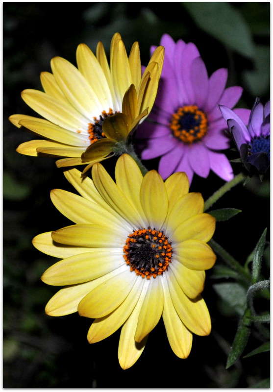 ... ����� ����� ���������(�������) �� PhotoGeek.ru #����� ��������������