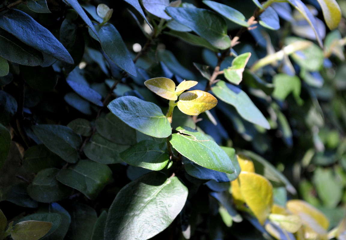 ... ����� ����� ���������(�������) �� PhotoGeek.ru #����� ��������������