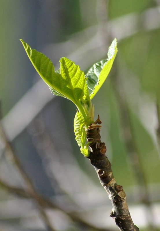 � �����!! ����� ����� ���������(�������) �� PhotoGeek.ru #������ ��� ������� #����� ��������������