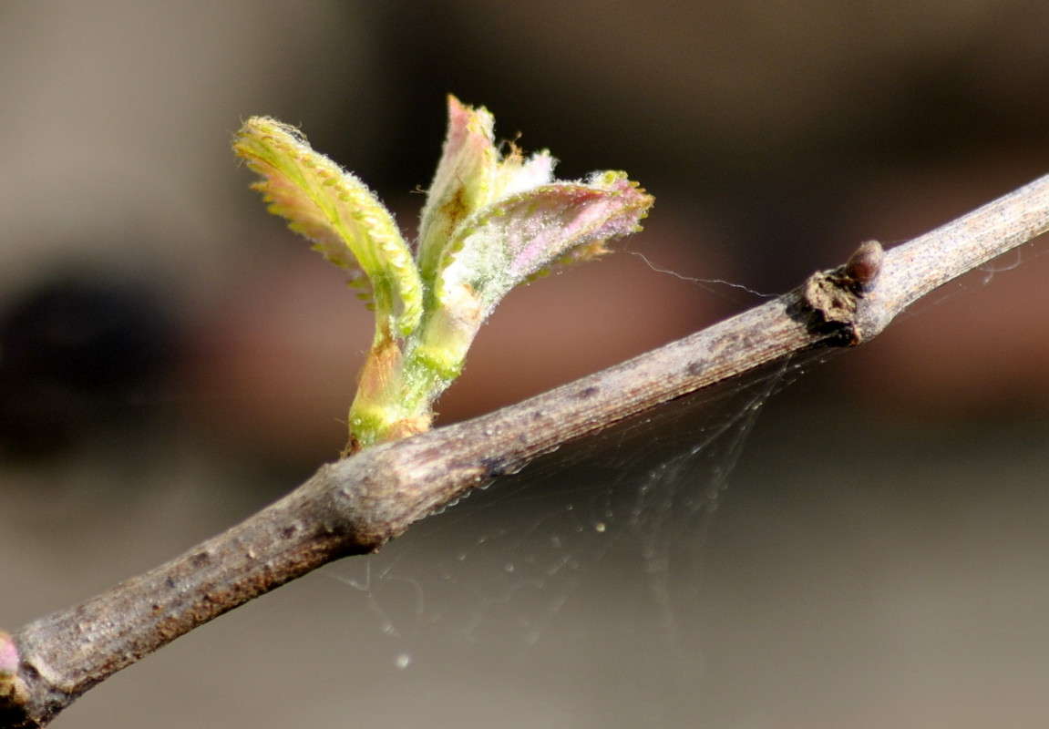 ����� �� �������!!! ����� ����� ���������(�������) �� PhotoGeek.ru #������ ��� ������� #����� ��������������