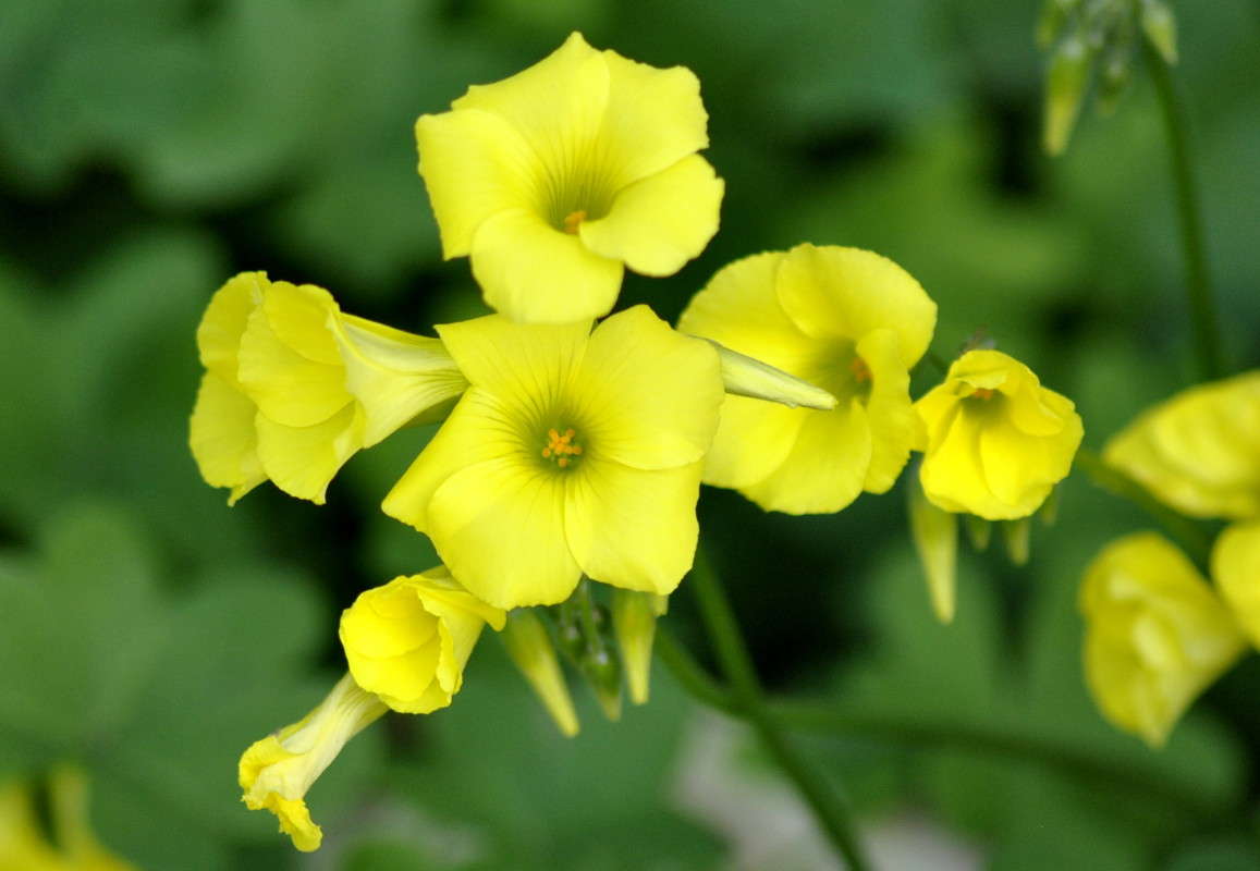 ����� �� �����)) ����� ����� ���������(�������) �� PhotoGeek.ru #������ ��� ������� #����� ��������������