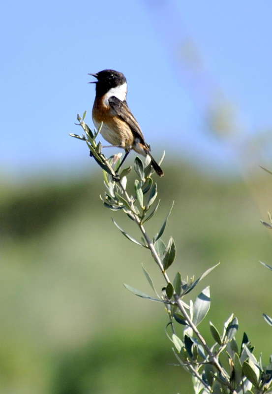 ������� �����)) ����� ����� ���������(�������) �� PhotoGeek.ru #�������� ���