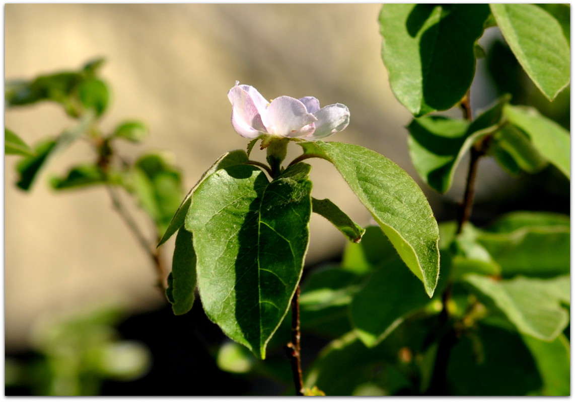 ������� ���� ����� ����� ���������(�������) �� PhotoGeek.ru #������ ��� ������� #����� ��������������