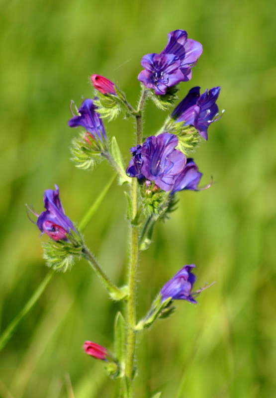 ... ����� ����� ���������(�������) �� PhotoGeek.ru #������ ��� ������� #����� ��������������