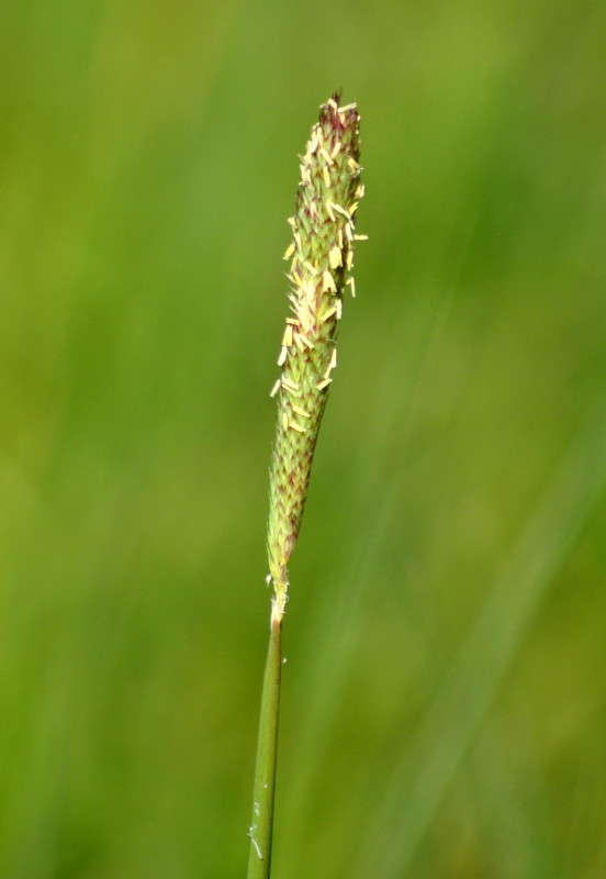 ... ����� ����� ���������(�������) �� PhotoGeek.ru #������ ��� ������� #����� ��������������