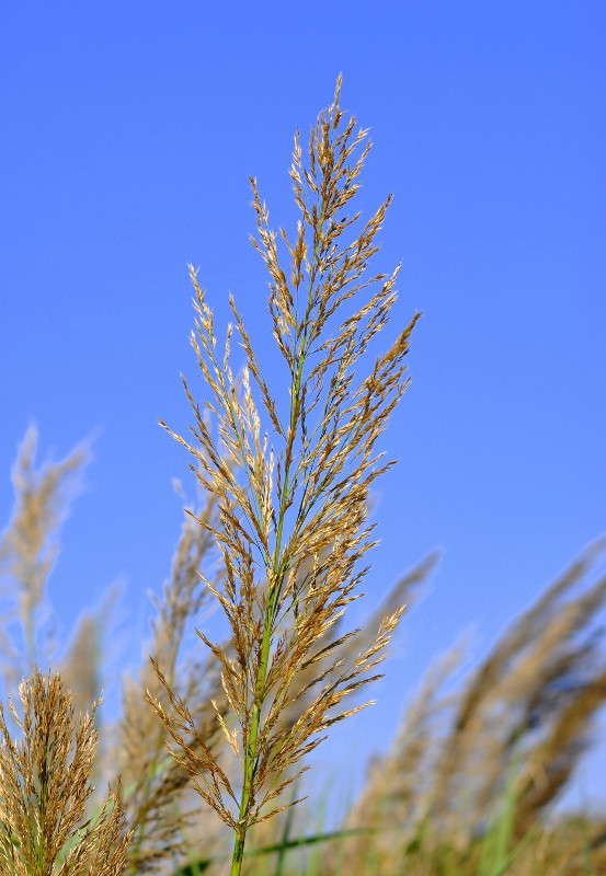 ... ����� ����� ���������(�������) �� PhotoGeek.ru #����� ��������������