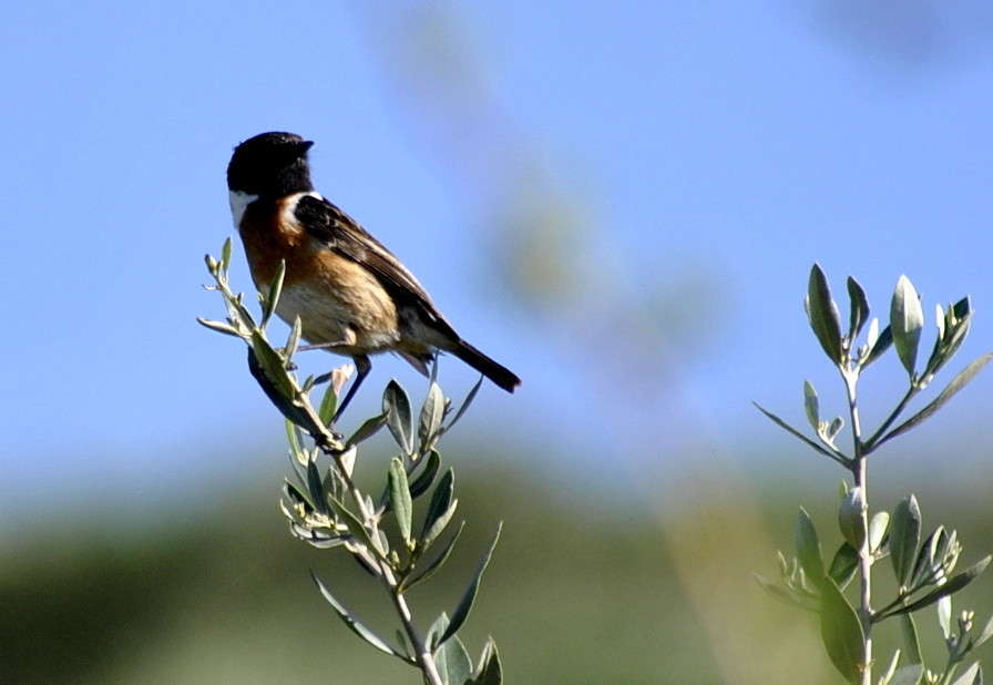 ����� ����� ����� ���������(�������) �� PhotoGeek.ru #�������� ���