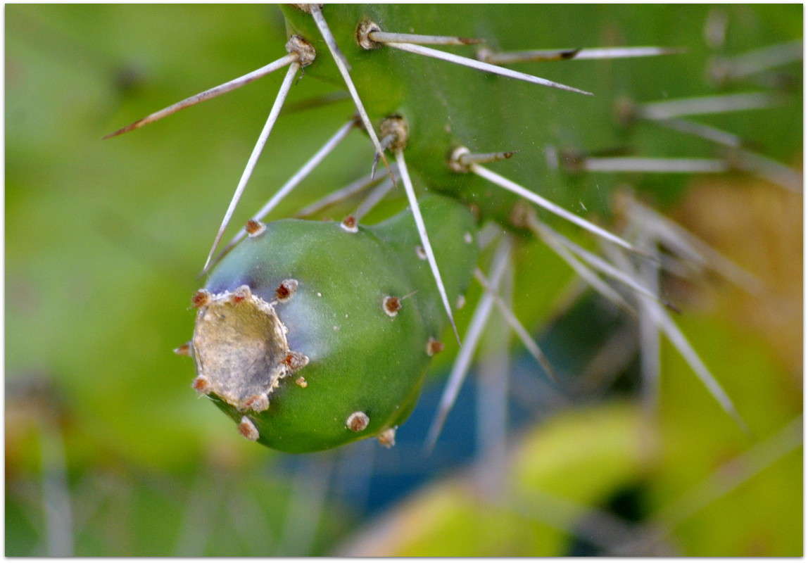 �������... ����� ����� ���������(�������) �� PhotoGeek.ru #����� ��������������