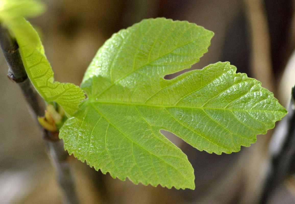 ������� ������ ����� ����� ���������(�������) �� PhotoGeek.ru #����� ��������������